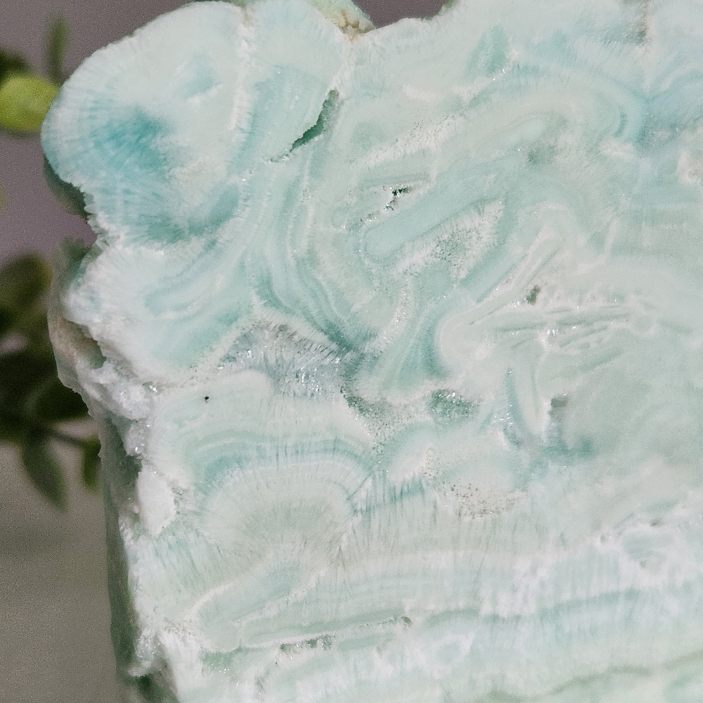 Caribbean calcite slab - Picture 12 of 13